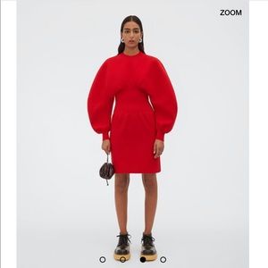 Bottega Veneta mini pouch ♥️NO OFFERS♥️